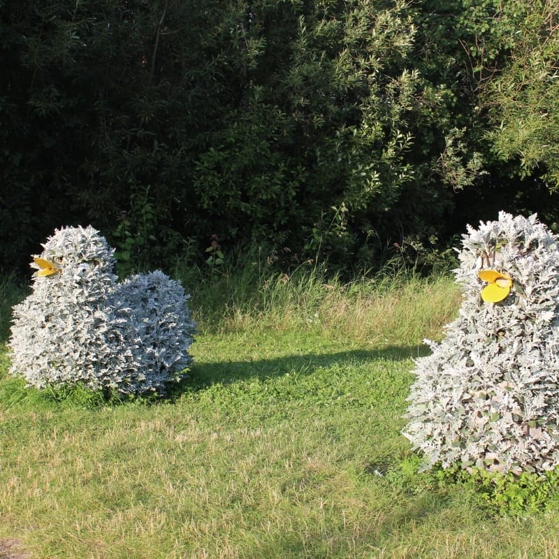 10 Environmental Art Ideas: The Impact Of Eco Design Art On Sustainable Living