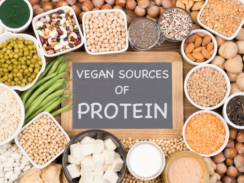 Vegan sources of protein 