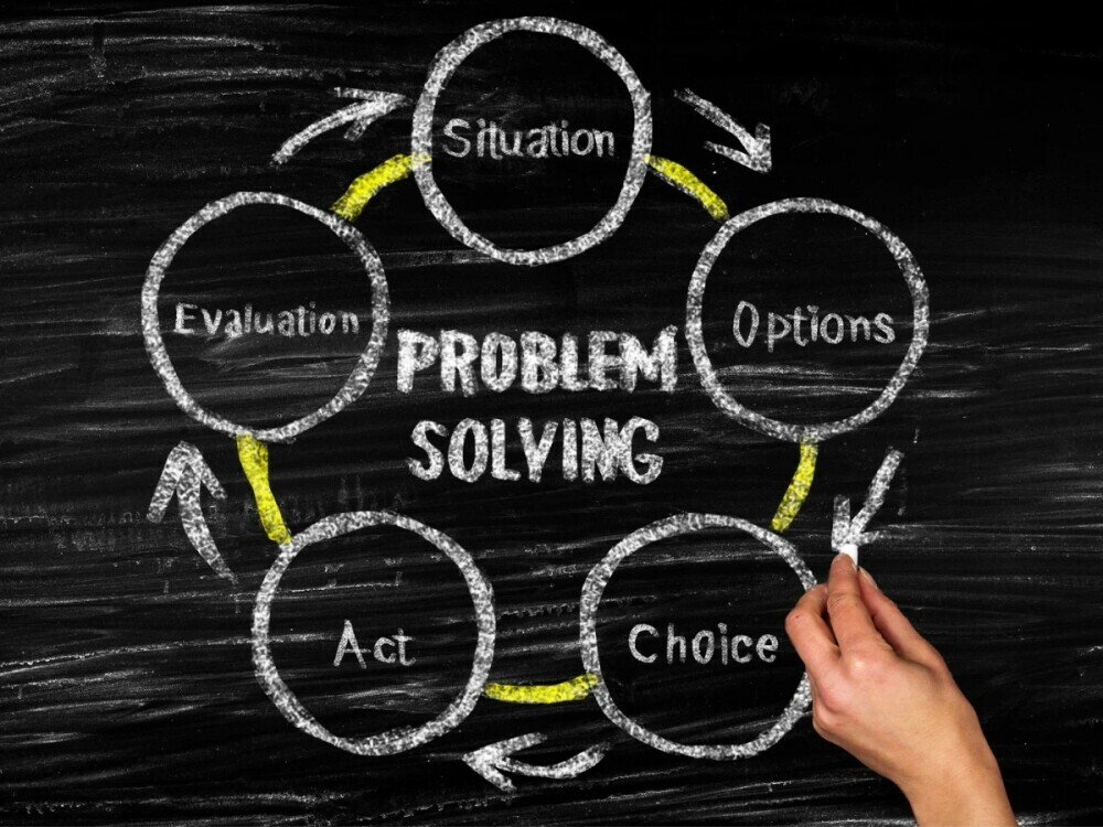 Problem-solving and adaptability 